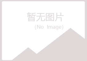 桂阳县山柏建设有限公司